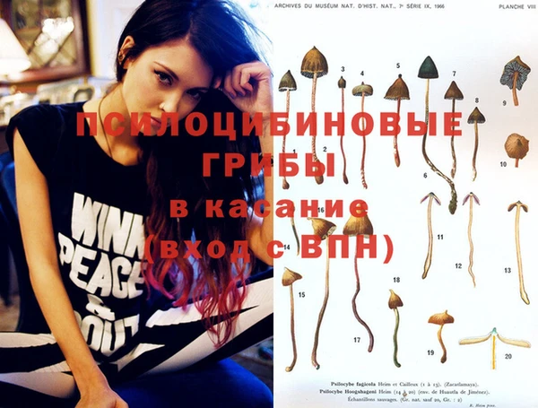 амф Баксан