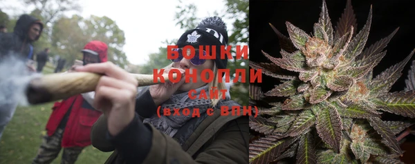 амф Беломорск