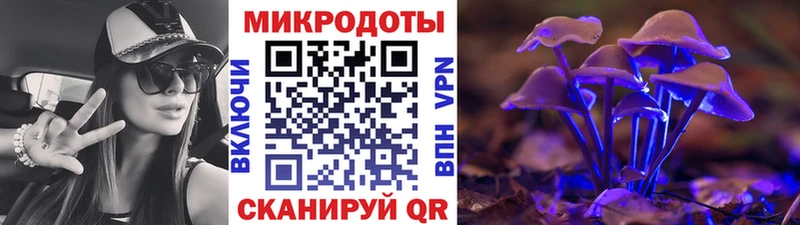 Галлюциногенные грибы Psilocybine cubensis  Очёр 
